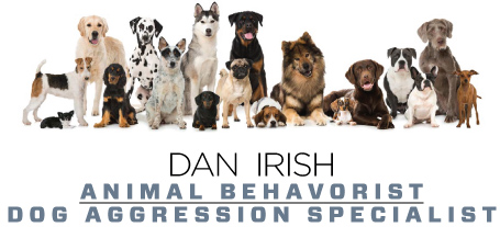 Dan Irish - Dog Aggression Specialist